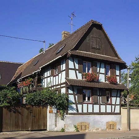 Villa Gite - Logement Renove Dans Ferme Alsacienne Pfettisheim Exterior foto